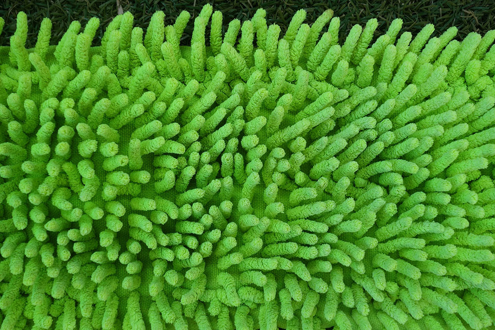 Green Team